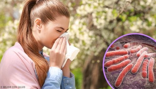 Tratamiento de la tuberculosis