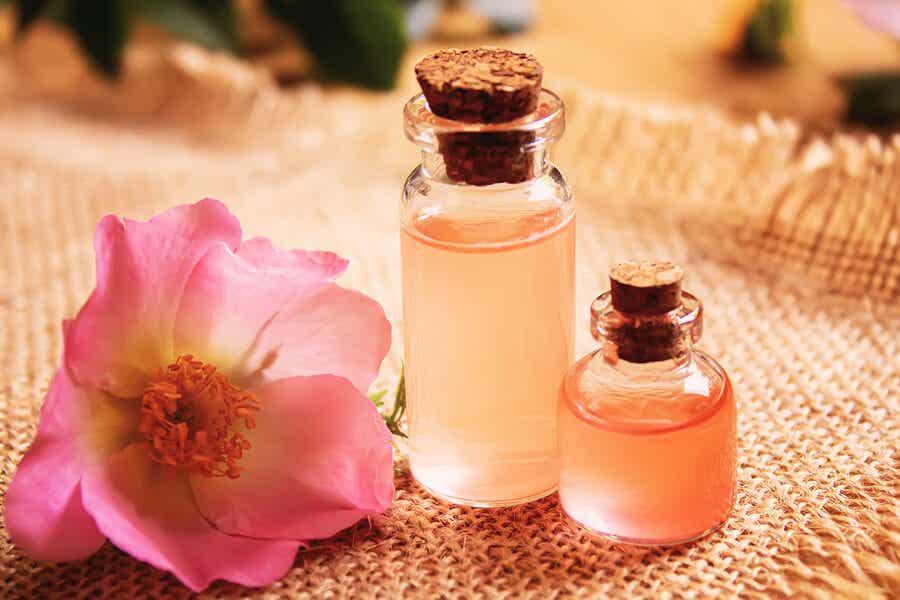 Aceite esencial de rosa mosqueta en botellas.