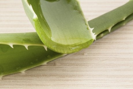 Aloe vamicoză rețetă, A scăpat de varice cu un remediu din bătrâni, ușor de preparat