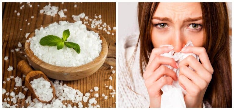 Los 4 mejores antialérgicos naturales. ¿Los conocías?