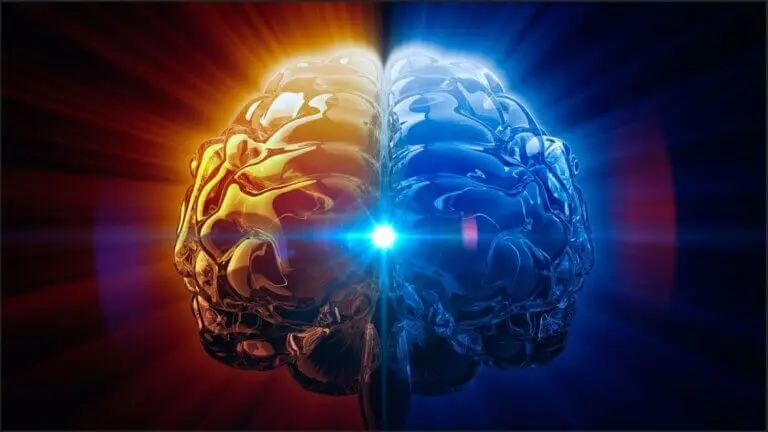 Glándula pineal: la reguladora de ciclos y el ojo vestigial