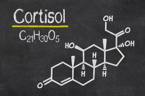 11 señales de cortisol alto en tu organismo