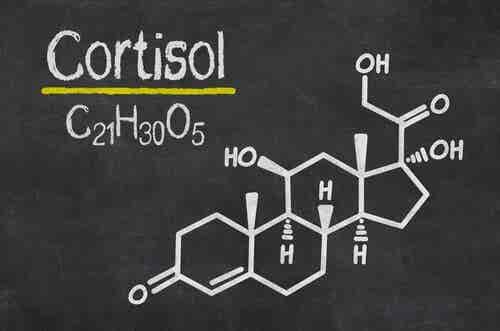 7 señales de cortisol alto en tu organismo