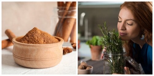 6 hierbas y especias que estimulan el crecimiento del cabello