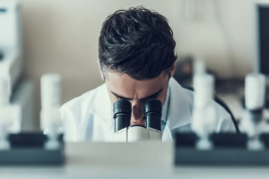 Microscopía directa para diagnosticar amebiasis.