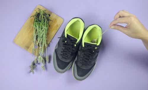 Zapatos cómodos para tratar y prevenir los juanetes