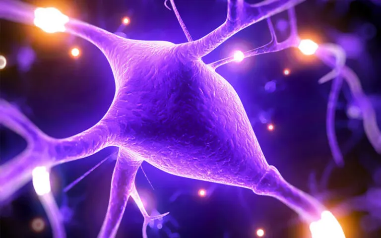 5 razones por las que el magnesio mejora las capacidades del cerebro
