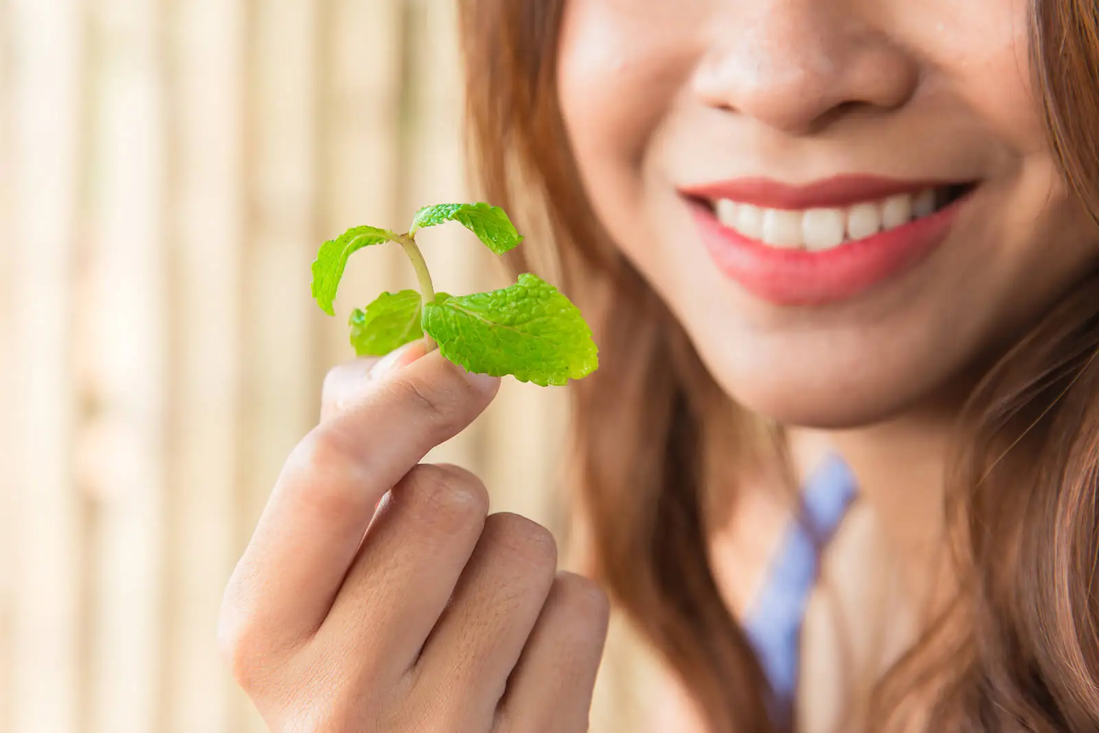 Menta: uno de los trucos para combatir el mal aliento.