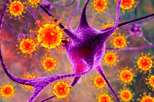 Meningitis