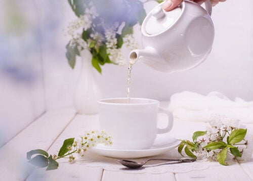 4 increíbles beneficios de la flor de azahar