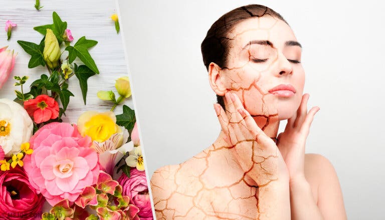 Los extractos florales en los productos para cuidar la piel