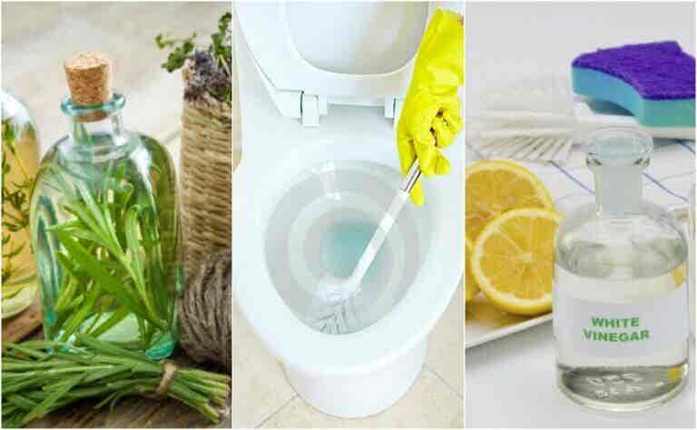 5 soluciones ecológicas para desinfectar tu baño sin exponer tu salud