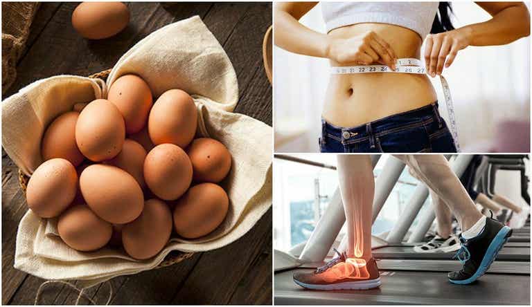 Huevos en la dieta para bajar de peso.
