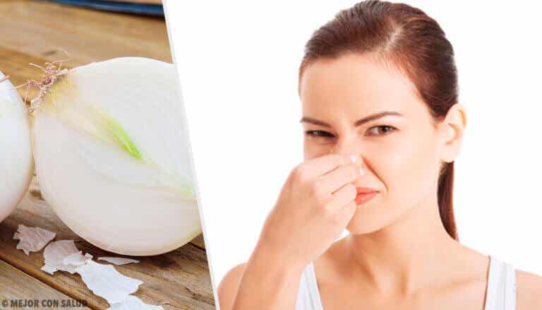 8 alimentos que causan un olor corporal desagradable
