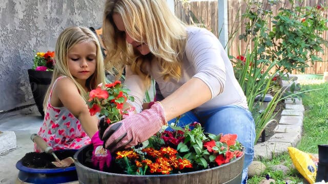 9 trucos para darle un mejor ambiente a tu hogar