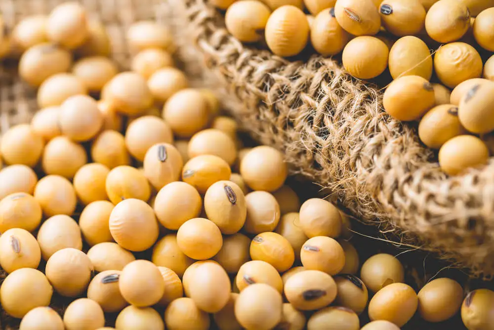 Alimentos que provocan efectos adversos