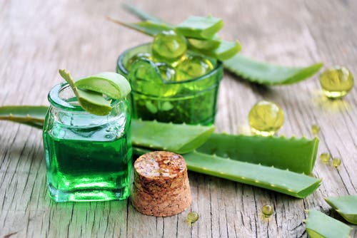 Aloe Vera for å bekjempe magesår