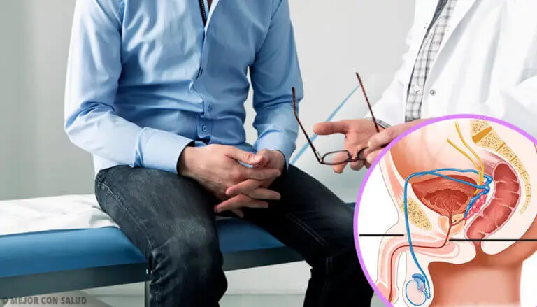 Anatomía del pene