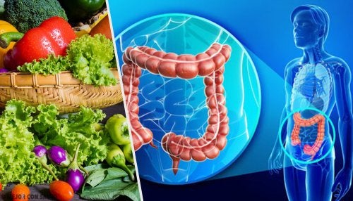 Consejos para recuperar la flora intestinal