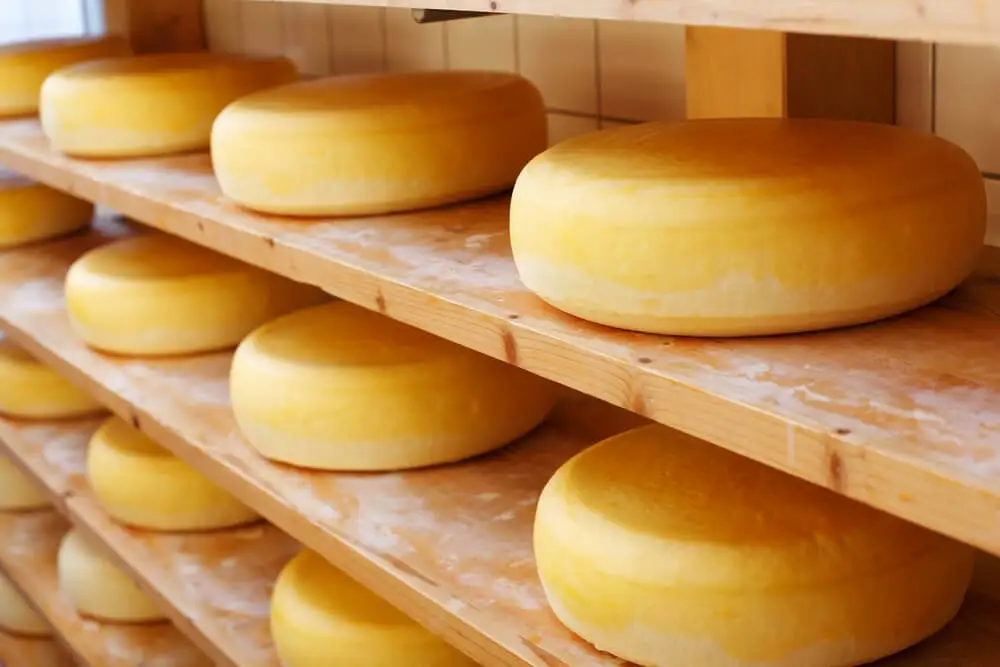 Queso cheddar para usar en dips.
