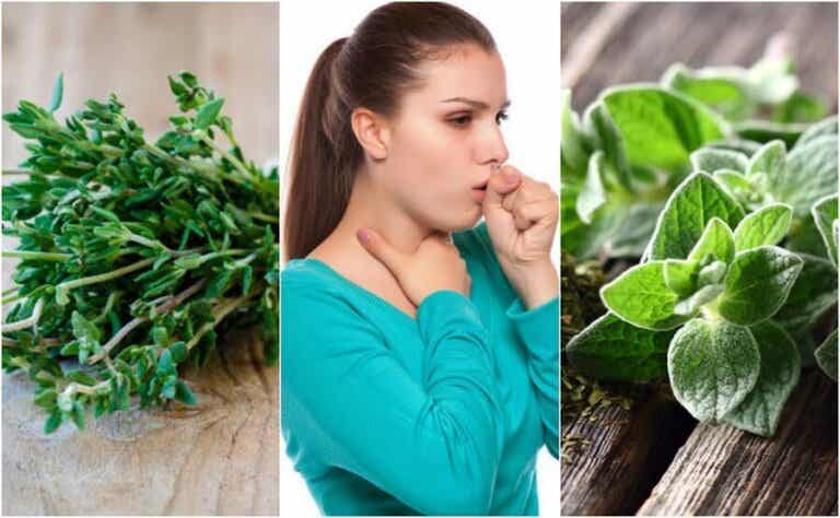 Cómo aliviar la tos con flemas usando 9 plantas medicinales