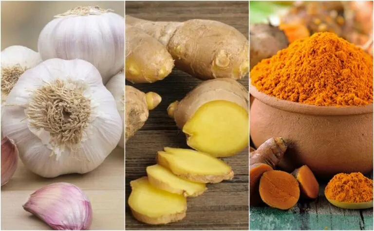 Antibióticos naturales para combatir infecciones leves