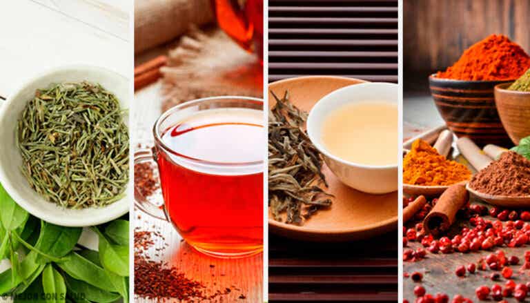 5 deliciosos tés para desintoxicar tu cuerpo