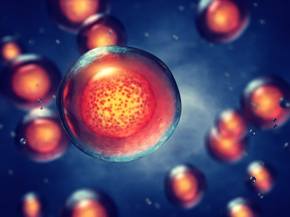 baby tooth banks are a good source of stem cells