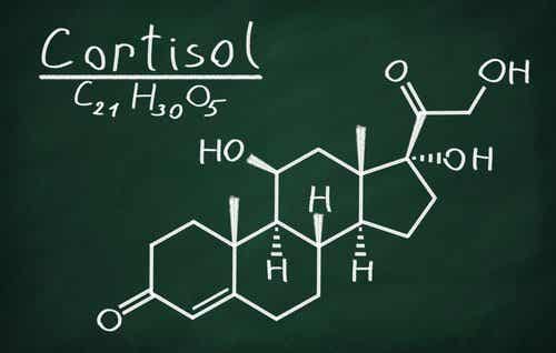El cortisol la hormona del estrés