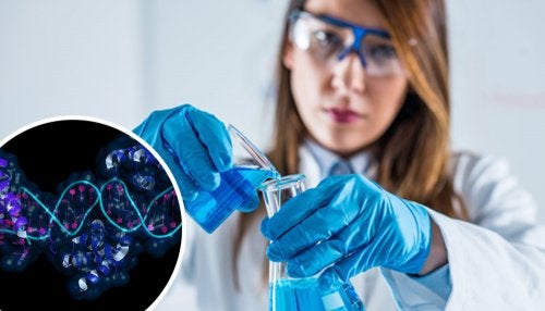 Epigenética: qué es y qué implicaciones tiene