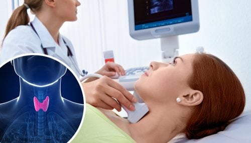 Fisiología de la tiroides