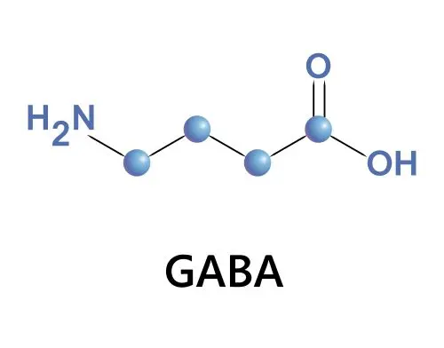 GABA
