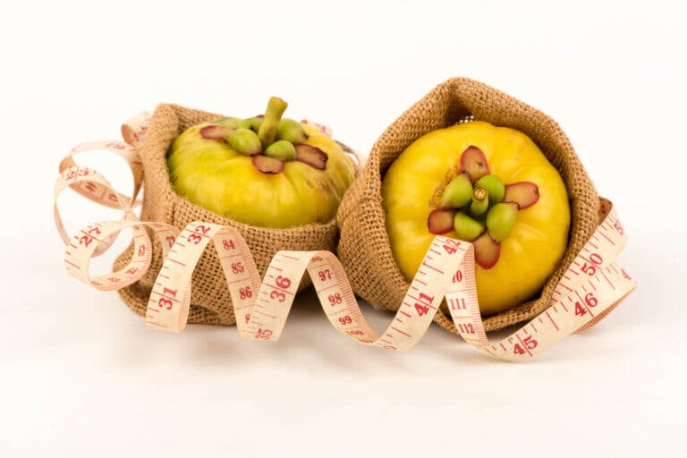 Garcinia cambogia, una ayuda natural para perder peso
