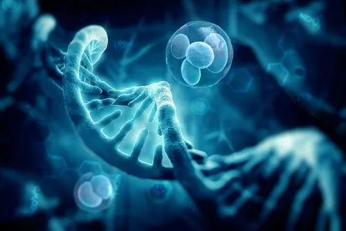 Investigaciones actuales