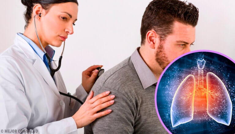 Los pulmones y sus características