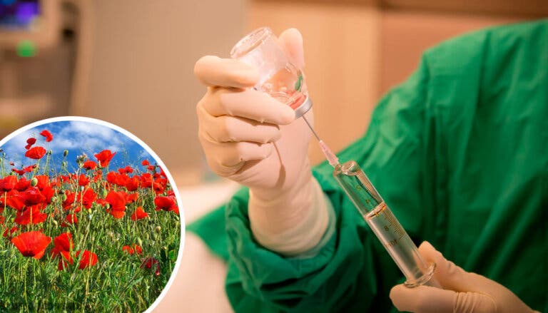 ¿Qué es la morfina?