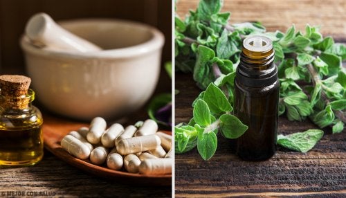 ¿Sabes cuáles son los mejores antibióticos naturales?