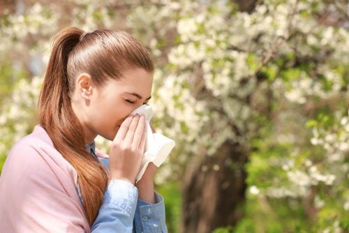 ¿Qué comer para combatir la alergia estacional?