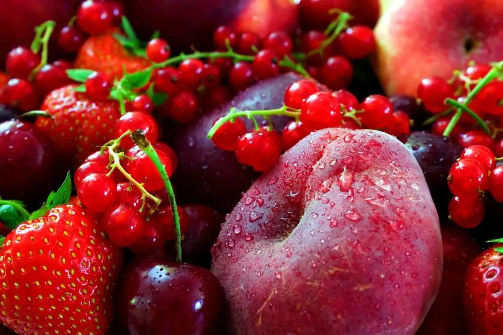 Tratamientos para el dolor