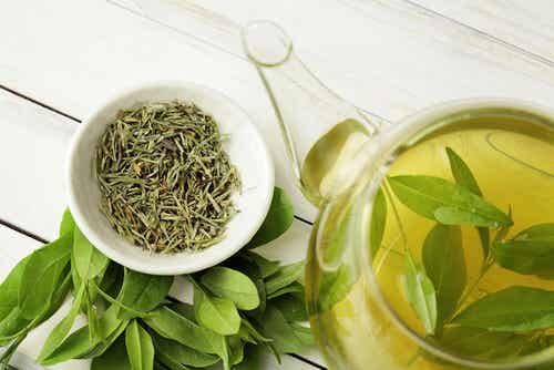 El té verde puede ayudarnos a tratar el hígado inflamado, ayudando a la regeneración celular.