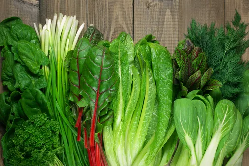Vegetales de hoja verde.