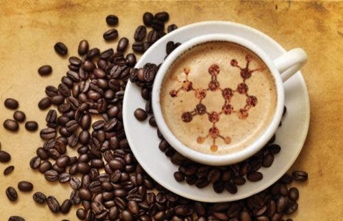alimentos cafe