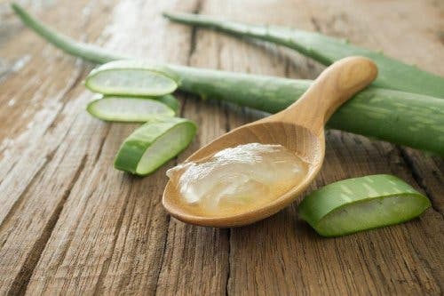 Aloe-vera-efectivo-contra-candida