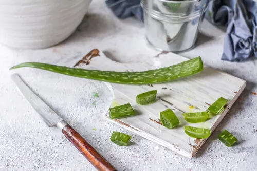 El aloe vera tiene diversos usos.