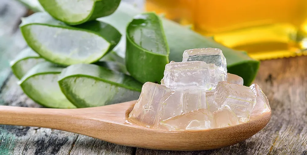 aloe-vera