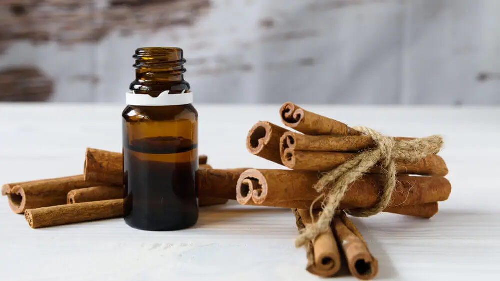 Botella con aceite de canela.