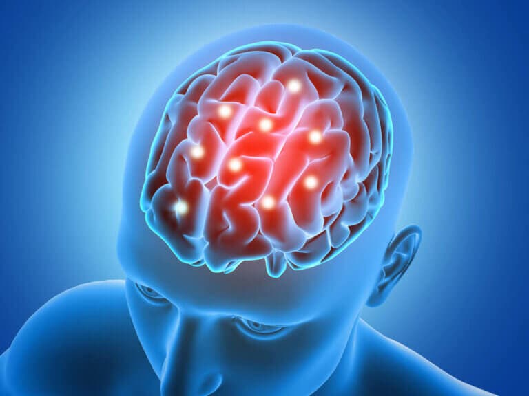 7 grandes productos naturales para fortalecer el cerebro