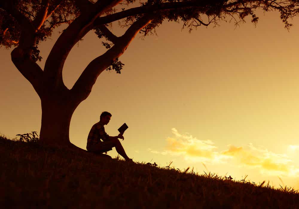 Hombre leyendo un libro bajo un árbol