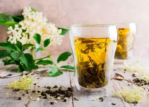 Infusión de saúco para acelerar el alivio de la gripe