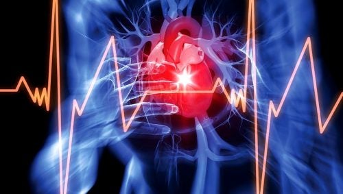 Representación del corazón con cardiograma